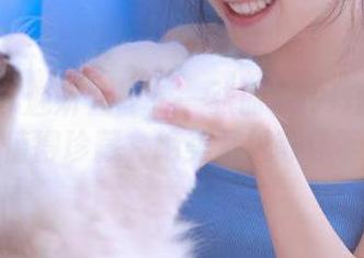 MiStar魅妍社 – 每一张丽Yovi短裙写真都值得珍藏，绝美壁纸等你下载
