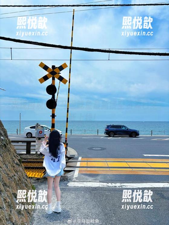 火速围观！亚马逊鲶鱼最新镂空资源已全新上线！