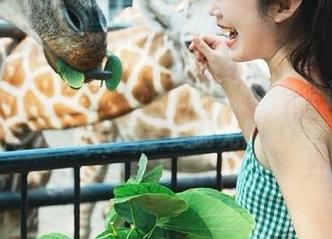 推女神 – 高清晓艾fafa瑜伽写真资源合集，发现完美身姿的无限魅力