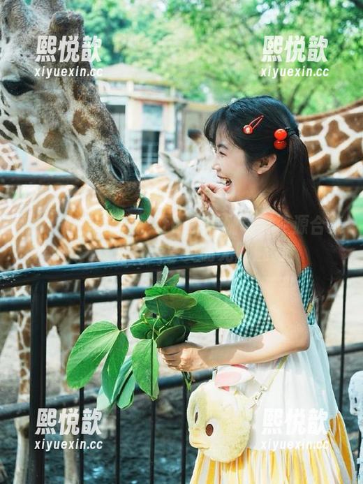 推女神 - 高清晓艾fafa瑜伽写真资源合集，发现完美身姿的无限魅力