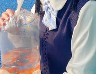 特别福利，焖焖碳带来舰长碧蓝航线赫敏的精彩图包，赶紧收藏！