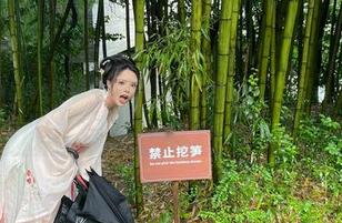 秋和柯基的厨娘型写真，独特风格引爆图库资源分享热潮