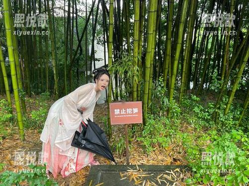 秋和柯基 秋和柯基的厨娘型写真,独特风格引爆图库资源分享热潮