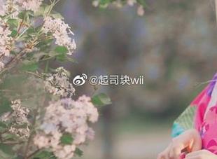 起起子vvvv最新自拍合集：展现她独特魅力与风格的30张精彩照片
