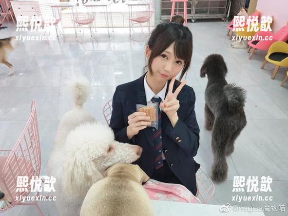 魔物喵nigisa全新图册，专属秘书的写真创作让人心动不已！